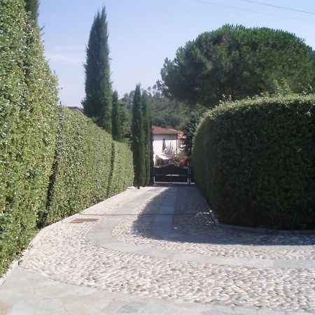ホテルIl Giardino Di Flora Buti エクステリア 写真